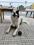 The Tides Oceanview Inn and Cottages