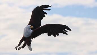 Tranquilo Resorts Capemaclear