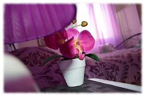 Bed and Breakfast Hostel Josef