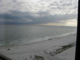 Tern Key Realty & Rentals