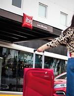 Ibis Los Mochis