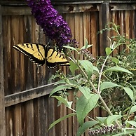 Remington Flats Hotel