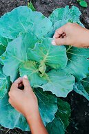 BeingSattvaa Luxury Ubud