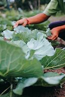 BeingSattvaa Luxury Ubud