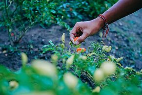 BeingSattvaa Luxury Ubud