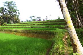 BeingSattvaa Luxury Ubud