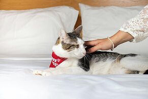 Four Points by Sheraton Cancun Centro