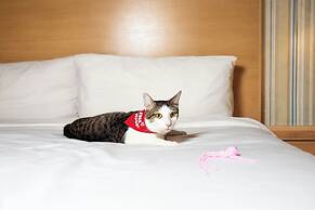 Four Points by Sheraton Cancun Centro