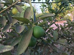 Oriental Nights Rest House