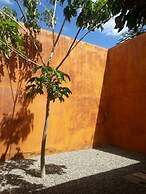 Hotel Cosijo