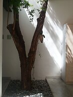 Hotel Cosijo