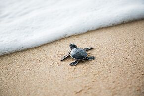 Villa Marina Lodge & Condos