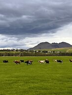 Hellisholar Cottages
