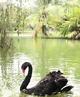 Les Hameaux de l'Orient