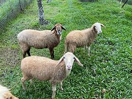 Les Hameaux de l'Orient