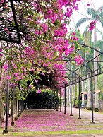 Les Hameaux de l'Orient