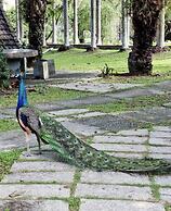 Les Hameaux de l'Orient