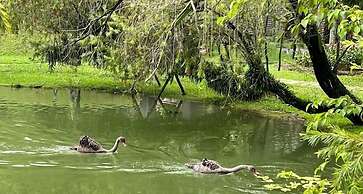 Les Hameaux de l'Orient