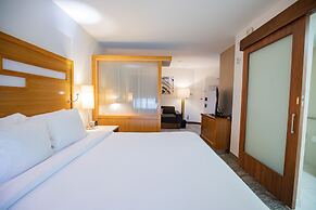 SpringHill Suites by Marriott Baton Rouge Gonzales