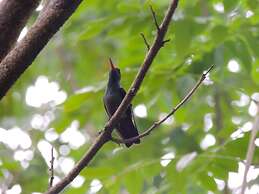 Corinto Pearl Eco Resort