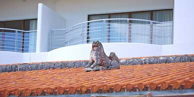 Resort Hotel Bel Paraiso