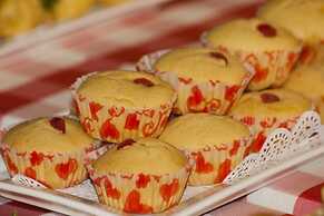 Paloma Hotel Ring Road Central