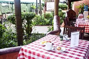 Paloma Hotel Ring Road Central