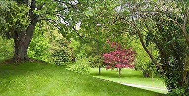 Guest House on the Mount