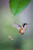 Hacienda Jimenita Wildlife Reserve