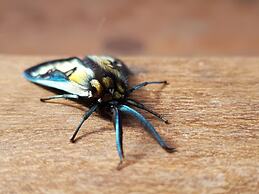 Hacienda Jimenita Wildlife Reserve