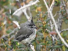 Hacienda Jimenita Wildlife Reserve