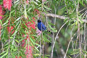 Hacienda Jimenita Wildlife Reserve