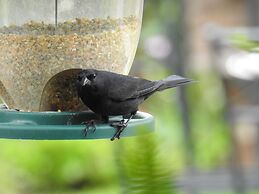 Hacienda Jimenita Wildlife Reserve