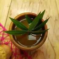 Hacienda Jimenita Wildlife Reserve