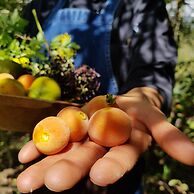 Hacienda Jimenita Wildlife Reserve