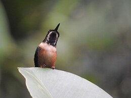 Hacienda Jimenita Wildlife Reserve