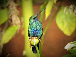 Hacienda Jimenita Wildlife Reserve