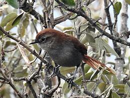 Hacienda Jimenita Wildlife Reserve