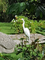 Hacienda Jimenita Wildlife Reserve