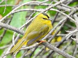 Hacienda Jimenita Wildlife Reserve