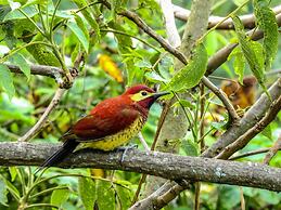 Hacienda Jimenita Wildlife Reserve