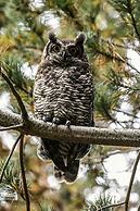 Hacienda Jimenita Wildlife Reserve