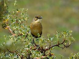 Hacienda Jimenita Wildlife Reserve