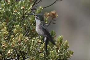 Hacienda Jimenita Wildlife Reserve