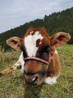 Hacienda Jimenita Wildlife Reserve