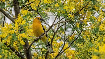 Hacienda Jimenita Wildlife Reserve