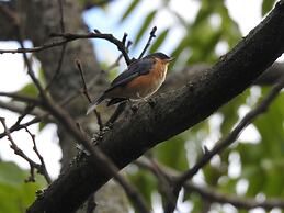 Hacienda Jimenita Wildlife Reserve