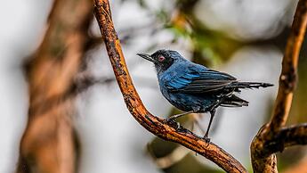 Hacienda Jimenita Wildlife Reserve