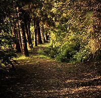 Hacienda Jimenita Wildlife Reserve