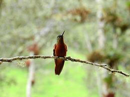 Hacienda Jimenita Wildlife Reserve